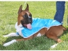 Riverhead Kennel Club Dog Show