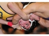 League VI Wrestling Championship
