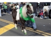 Cutchogue St. Patrick's Day Parade