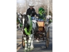 Cutchogue St. Patrick's Day Parade
