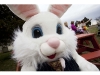 Easter, Palm Sunday events on the North Fork