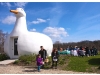 Easter, Palm Sunday events on the North Fork