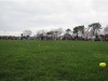 Easter, Palm Sunday events on the North Fork