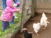 Farm life