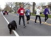Greenport 5K