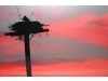 Southold Art Auction