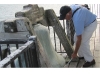 Bug Light test tour