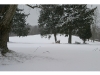 First snow 2012